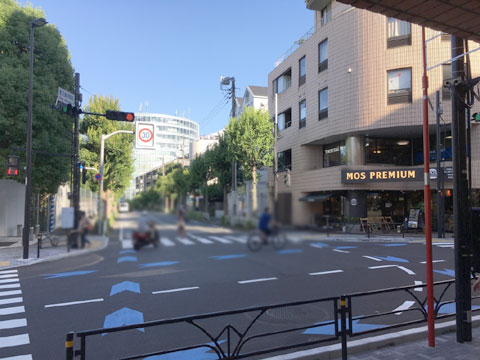 現地土地写真　エントランスから臨む前面道路