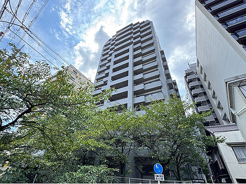 現地外観写真　東側（高瀬川側） 