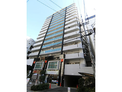 現地外観写真　棟写真たて（エステムエグゼ心斎橋②）