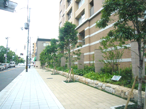 現地外観写真　建物周辺歩道