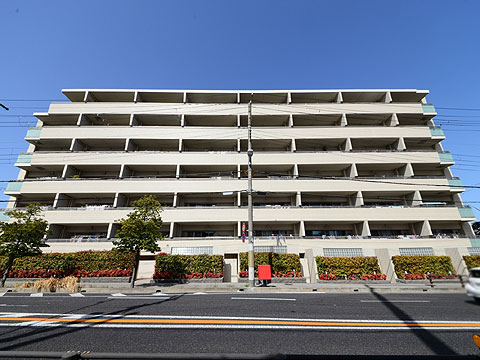 現地外観写真　DSC_1712