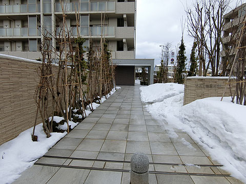 その他共用部　植栽を配したマンションアプローチ