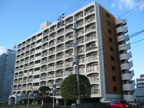 現地外観写真　中ノ島M①