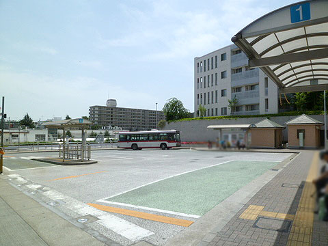 現地土地写真　