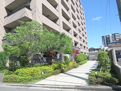 現地外観写真　マンション入り口の植栽