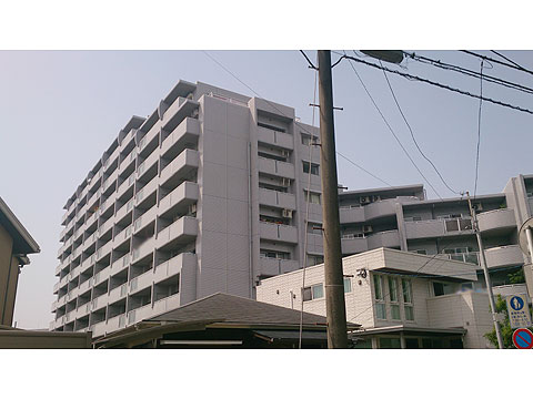 現地外観写真　外観