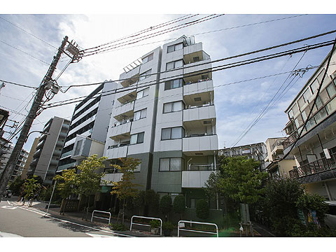 現地外観写真 外観