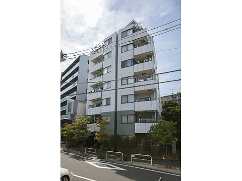 現地外観写真 外観