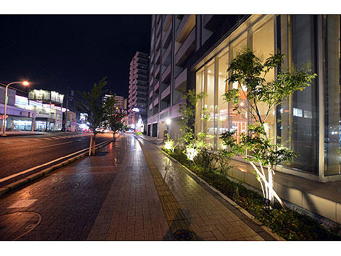 その他共用部　夜の様子