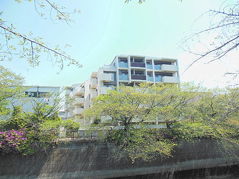 現地外観写真　目黒川沿いに建つマンションです。