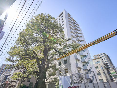 その他共用部　外観３