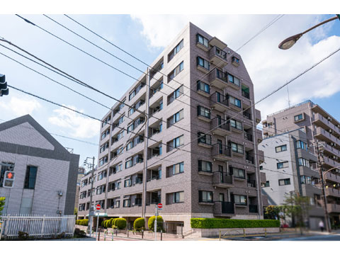 現地外観写真　lionsmansionbunkyohakuz