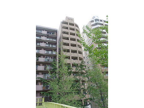 現地土地写真　DSC05794