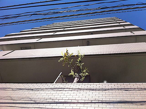 その他共用部　外観3