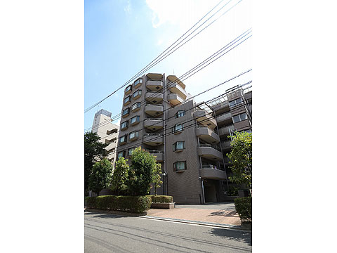 現地外観写真 外観