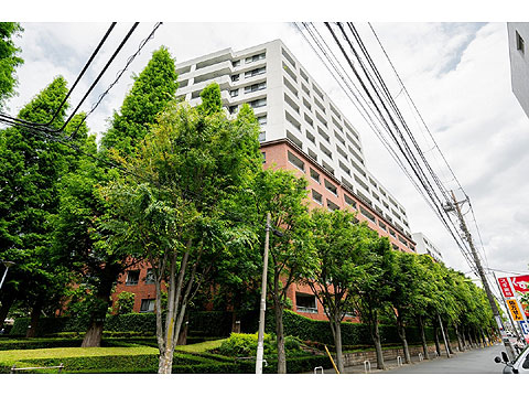 現地外観写真　建物外観