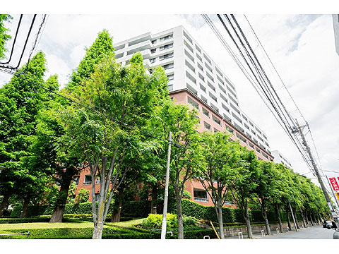 現地外観写真　建物外観