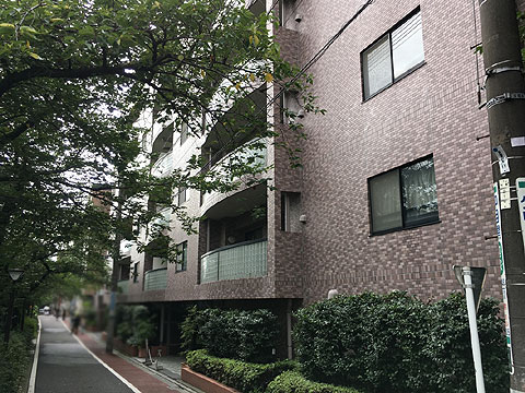 現地外観写真　エントランス前道路