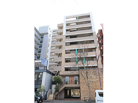 現地外観写真　マンション外観