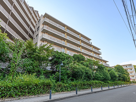 現地外観写真　