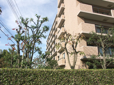 その他共用部　写真2