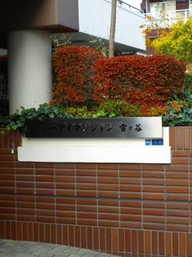 その他共用部　写真1