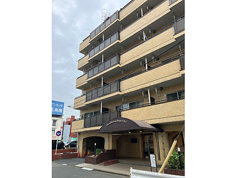 現地外観写真　南東見上げ