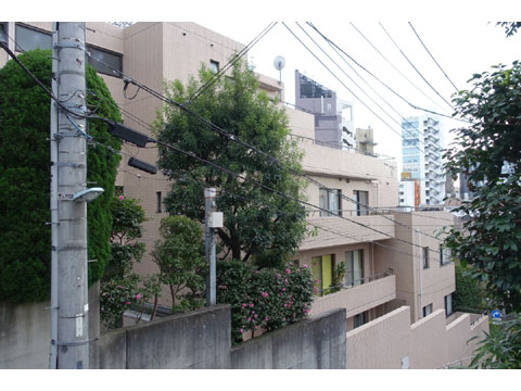 現地外観写真　外観７