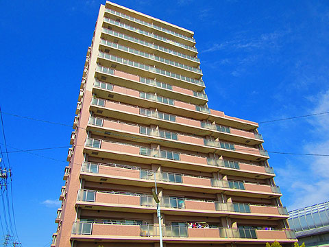 現地外観写真　建物外観（南側）