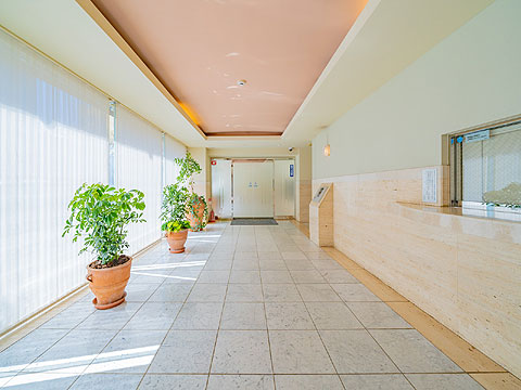 エントランス　ライオンズプラザ桜新町