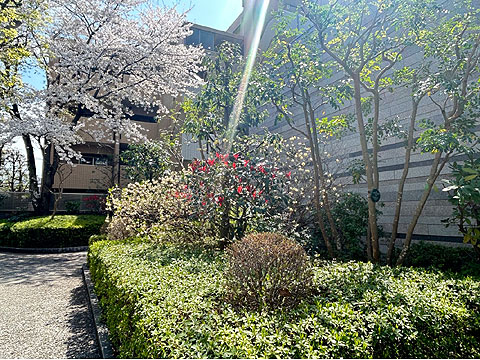 その他共用部　エントランス植栽（春） (2)