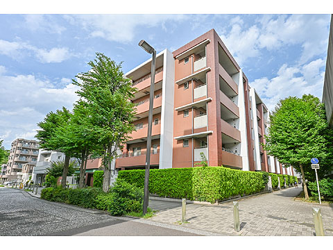 現地外観写真　建物外観