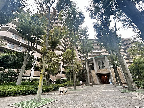 現地外観写真　11.外観