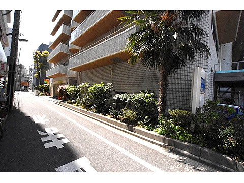 現地土地写真　エントランス前歩道