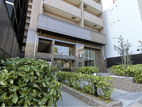 エントランス　CIMG1851