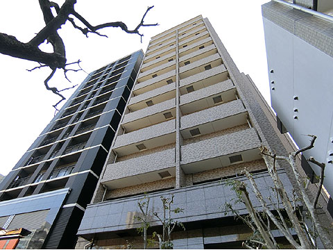 現地外観写真　CIMG1852