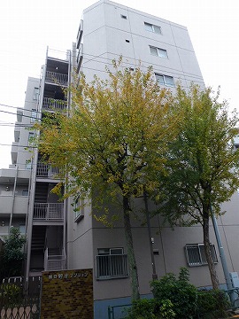 その他共用部　外観6