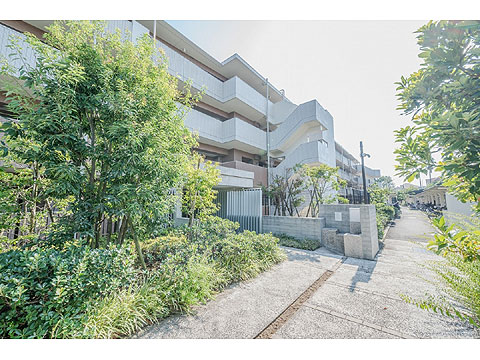 現地外観写真 外観